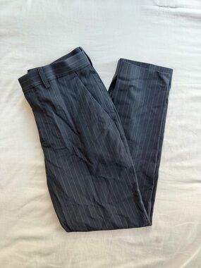 Express Dress Pants